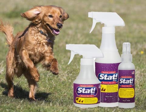 Stat! Spray Cat and Dog Wound Care - Pet First Aid Spray Promotes Fast Healing and Soothing Relief - Topical Animal Treatment for Hot Spots, Cuts, Burns, Itching, and Other Skin Irritations 16 oz - PawsPlanet Australia