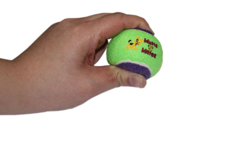 Mutts'N'Mates Small Squeaky Dog Balls - Super Bouncy Small Dogs Toy (Pack of 3) - PawsPlanet Australia