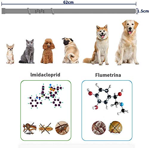 Flea And Tick Collar for Dogs, Waterproof, Anti Flea Collar Adjustable Natural & Safe, 8 Month Protection Efficiently Repellent Locust Life of Pets,Cat Non-Toxic Dog Flea Treatment [Upgrade Version] - PawsPlanet Australia