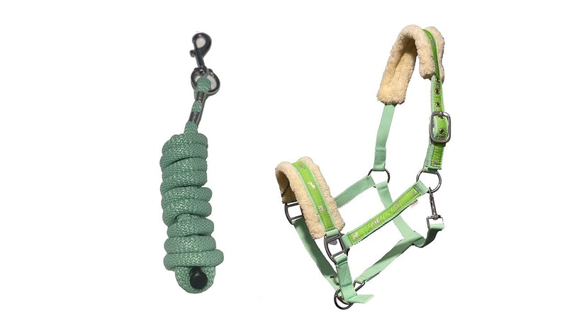 Equipride Horse Print Faux Lined Nylon Headcollars with Matching Lead Rope Mint Green (Full) Full - PawsPlanet Australia