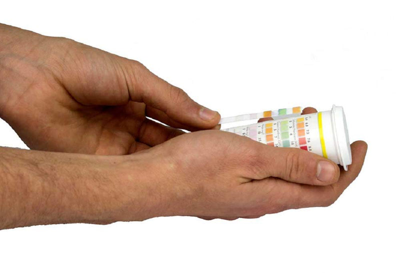 Interpet Easy Complete Aquarium Dip Test Kit 1 One Size - PawsPlanet Australia