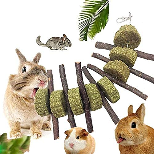 Tokenhigh Hamster Chew Toys 10 Pcs,Natural Pine Wood, Guinea Pigs, Rats, Chinchillas Toy Accessories, Exercise Bell, Dental Care, Molar Toys For Rabbits, Birds, Bunnies - PawsPlanet Australia