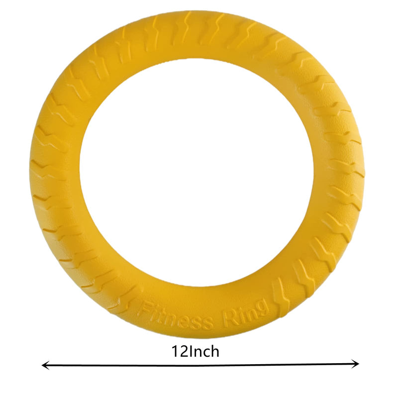 Ultra Durable Chew Dog Frisbee Training Ring Water Floating Outdoor Fitness Flying Discs Interactive Dog Toys for Small Medium Large Dogs 12 Inch - PawsPlanet Australia