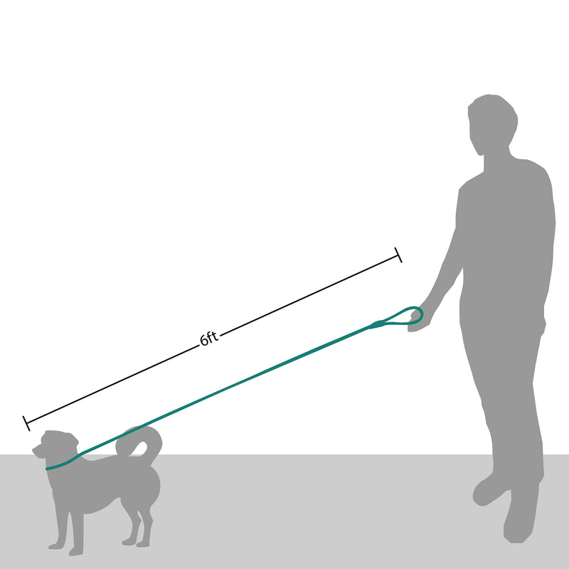Friends Forever Extremely Durable Dog Rope Leash, Premium Quality Mountain Climbing Rope Lead, Strong, Sturdy Comfortable Leash Supports The Strongest Pulling Large Medium Dogs 6 feet, Blue - PawsPlanet Australia