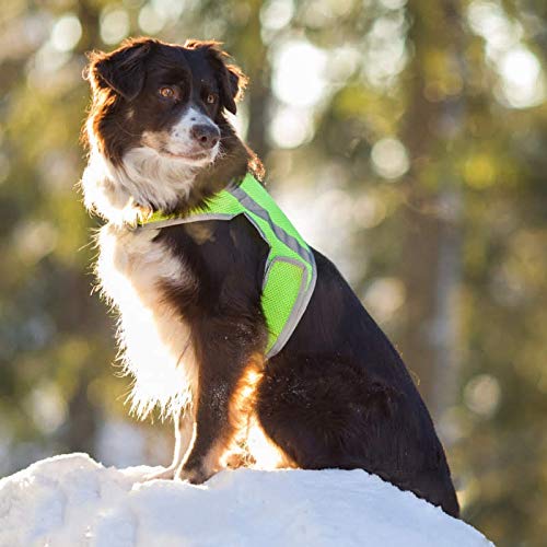 FinNero ATTE Attention Reflective Vest for Dogs, Yellow, XS - PawsPlanet Australia