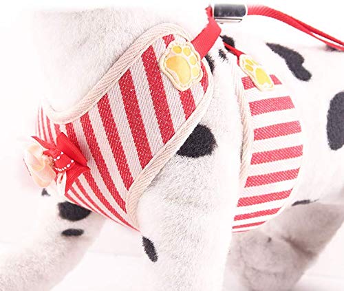 Dusenly Pet Vest Harness Dog Harness and Lead Set for Small Dog Cat Cute Stripe Soft Mesh Vest Harness Leash Set for Daily Walking Running Training (S, Red) S - PawsPlanet Australia