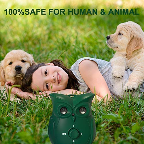 Bestdoggo Anti Barking Dog Barking Deterrent Indoor&Outdoor Ultrasonic Barking Control Device,Stop Barking Dog Device,Bark Control Up to 35FT Dog No Barking,Owl-Shaped Design. Green - PawsPlanet Australia