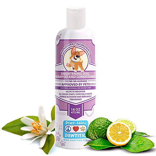 [Australia] - Pawtitas Dog Shampoo and Conditioner Handcrafted with Certified Organic Ingredients Hypoallergenic Pet Natural Shampoo Gentle on Your Puppy The Best Wash for Short and Long Coat 16 oz Bottle Orange Blossom & Bergamot 