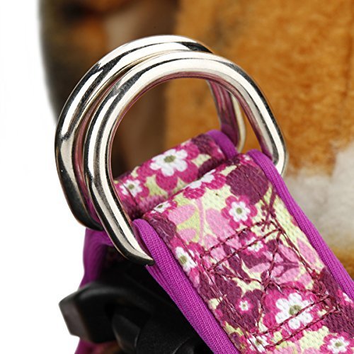 [Australia] - Rnker Step-in Harnesses, no Pull, Flowers Pattern hot Stamping, Neoprene Padded, Adjustable Walking, Training Dog Harness M (19.5-25.5" Chest Girth) Purple 