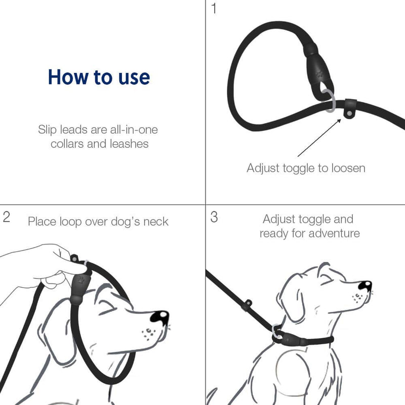 [Australia] - WePet Durable Dog Leash for Medium Large Dogs, Sturdy and Premium Quality Reflective Leashes, Supports Strong Pulling, Comfortable Padded Handle, 6 Feet Slip Rope Lead for Walking and Training, 2 Pack 