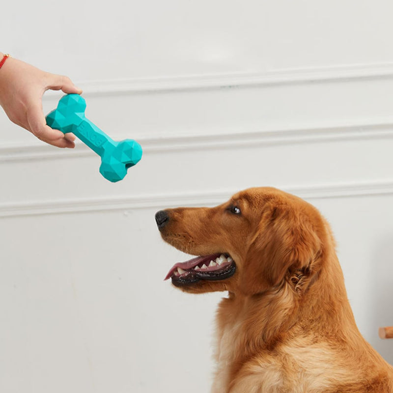 TADAE dog toy Indestructible dog toy to combat boredom made of natural rubber for aggressive chewing (M) M - PawsPlanet Australia