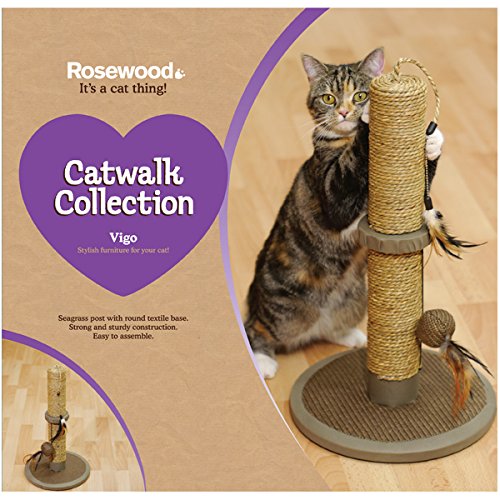 Rosewood Vigo Cat Scratcher/Post - PawsPlanet Australia