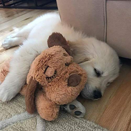 SmartPetLove Snuggle Puppy Behavioral Aid Toy Biscuit - PawsPlanet Australia