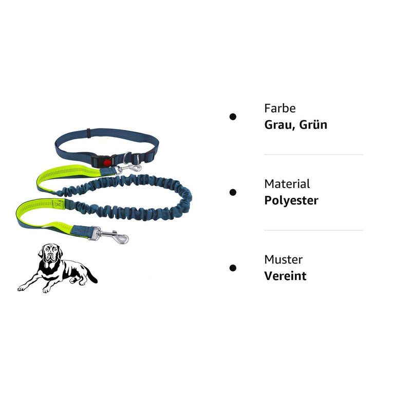 Senvenelec Jogging Dog Leash, Retractable Dog Leash, Adjustable Belt Carry Handle Running Bungee Dog Harness, Reflective Strap, Running, Walking, Hiking Hyena (Green, Gray and Grey) - PawsPlanet Australia