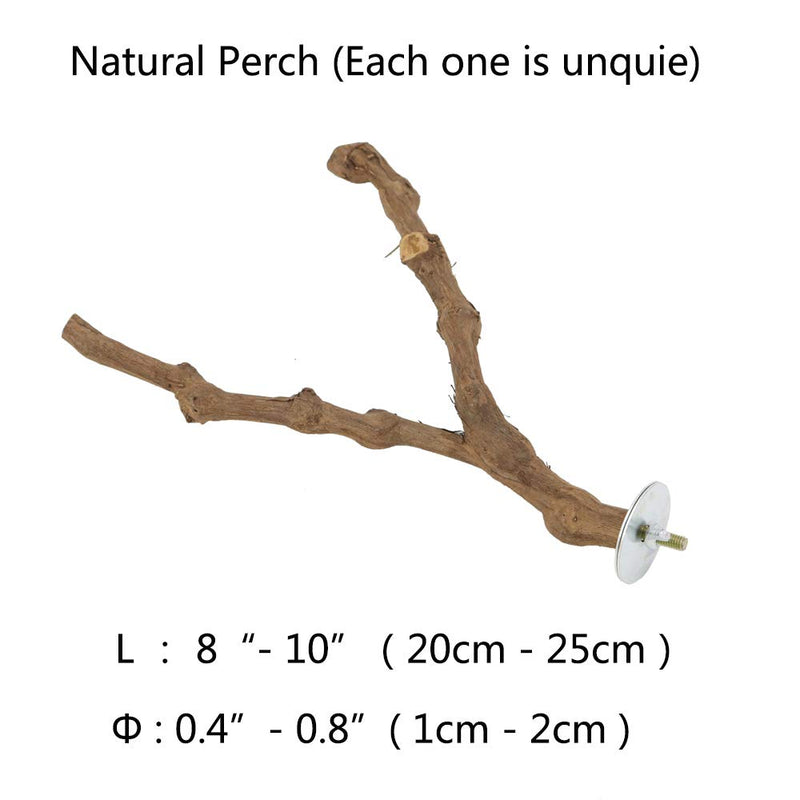 [Australia] - YINGGE Wood Bird Stand Perch, Natural Wild Grape Stick Paw Grinding Standing Climbing Branch Toy Cage Accessories for Small and Medium Parrots Parakeets Cockatiels Lovebirds Sun Conures Caique Y Shape 