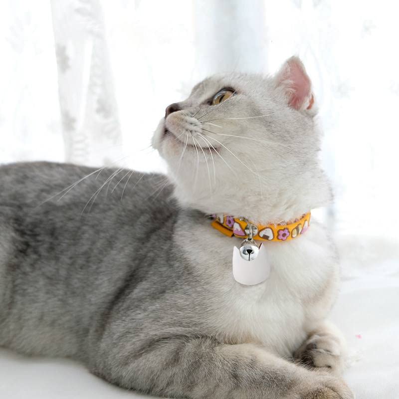5 Pack Cat Head Pet ID Tags Cat Name Blanks Stainless Steeel Blank Stamping Tags with Hole Collar Tags Metal Kitty Charms Necklace Bracelet Disc DIY Pendants, Gold - PawsPlanet Australia