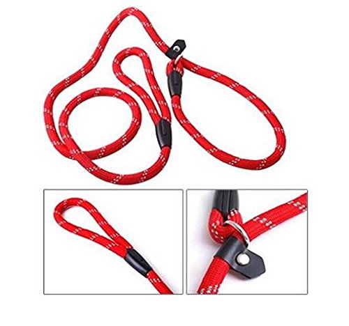 ericotry 1PCS 1.2m Red Adjustable Pet Dog Nylon Adjustable Loop Slip Leash Rope Lead Slip Dog Training Leash and Collar - PawsPlanet Australia