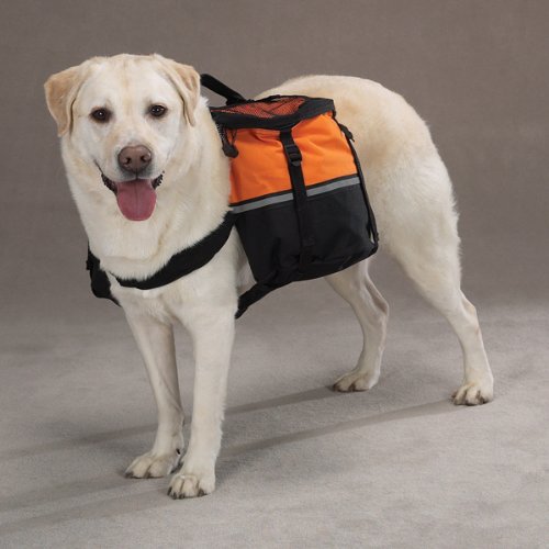 [Australia] - Zack & Zoey Pet Day Tripper with Storage Pouches, Large, Orange l 