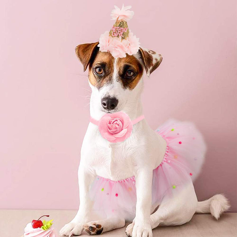 SCENEREAL Dog Birthday Bandana Girl - Birthday Party Supplies -Tutu Skirt Hat Scarf Set for Pet Puppy Cat Girl,Pink Outfit for Birthday Party Crown&Collar&Skirt - PawsPlanet Australia