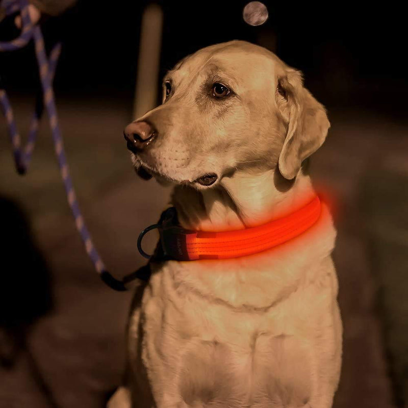 Iseen Led Dog Collar Illuminated Dog Collars Reflective Dog Collar Dog Lights for the Dark Dogs USB Rechargeable Adjustable Size Dog Collars for Puppy Dogs S Orange - PawsPlanet Australia