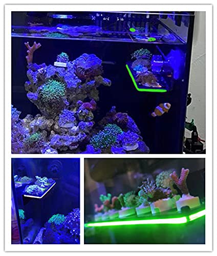 Coral Frag Holder Acrylic Coral Rack with Powerful Double Suction Cup Suitable for Household Fish Tanks (2pcs 3 Plug Hole,Fluorescent Green and Orange) - PawsPlanet Australia