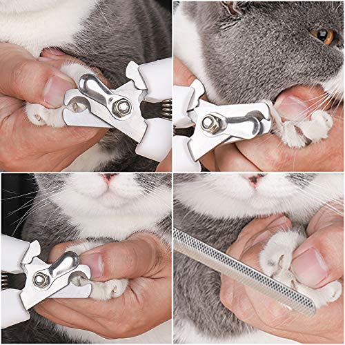 Claw scissors, professional claw care, claw pliers with safe spacer and claw file for large and medium-sized dogs and cats in the pet salon... - PawsPlanet Australia