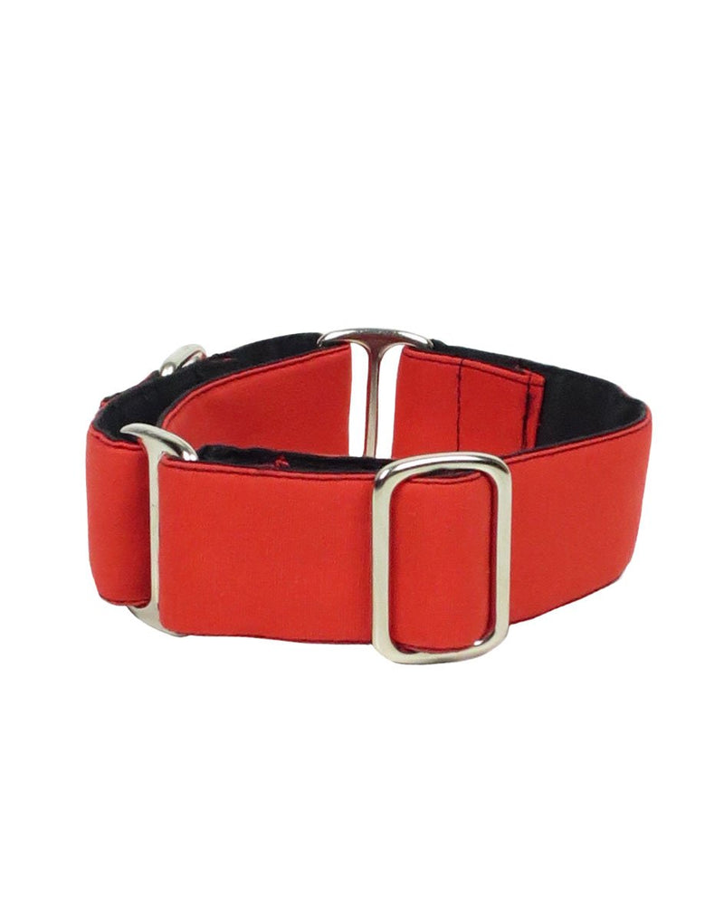 ThePetLover Martingale Collar for Dogs, L, Red and Black - PawsPlanet Australia