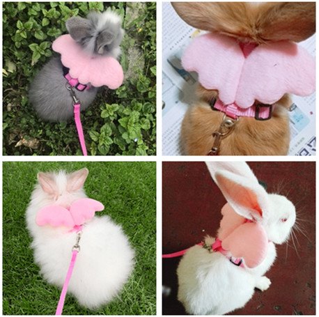 [Australia] - Rabbit Harness Adorable Angel Wings Leash Dog Cat Pet Vest Harness and Matching Leash Set Pink 
