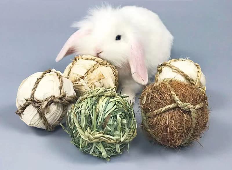 CAMITER Pack of 9 chew balls, rabbit chew toys, hamster toys, small animals chew toys for small animals, hamsters, rabbits, guinea pigs, chinchillas, gerbils (8 cm). Various chew balls - PawsPlanet Australia