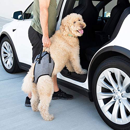 [Australia] - ZippyPaws - Dogs Support Harness, Rear Legs Lift Assistance with Handles 