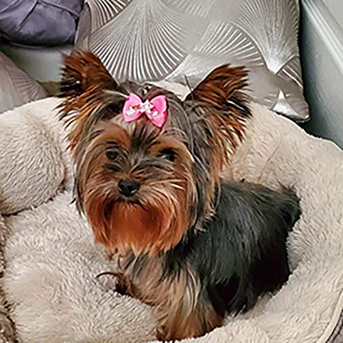 Chenkou Craft 20pcs New Dog Hair Bow With Rubber Band Rhinestone Pet Grooming Products Mix Colors Varies Patterns Pet Hair Bows Dog Accessories - PawsPlanet Australia