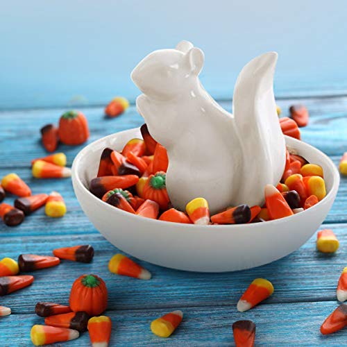 LA JOLIE MUSE Nut Bowl Snack Serving Dish - Ceramic Squirrel Candy Dish for Pistachio Peanuts, Home Decorations Gifts - PawsPlanet Australia