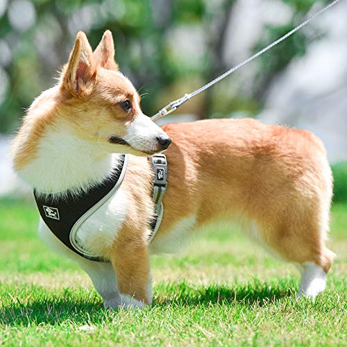 [Australia] - Grneric Small Dog Harness,Djustable Pet Reflective Vest and Leash Lead Set,No Pull Soft Mesh Breathable Fit Puppy and Cat Easy Control Universal Harness XS Black 