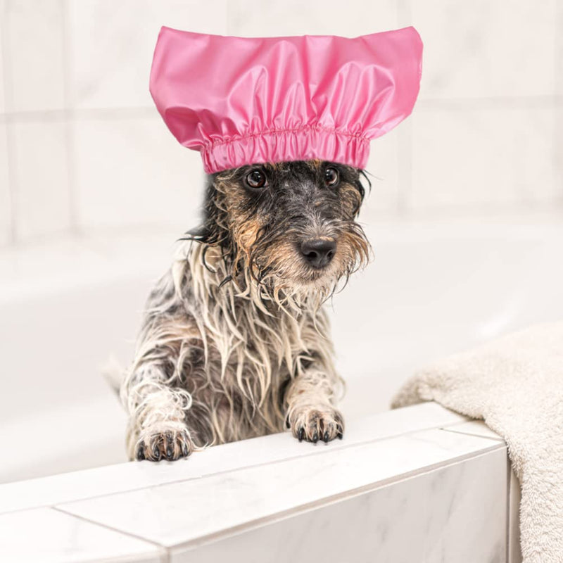 Mipcase Pet Shower Cap Waterproof Hat: Shower Dog Ear Covers Overhanging Pet Bath Ear Protection Shower Cats Ear Drops Guard for Kitten Puppy Small Pets Bath - PawsPlanet Australia