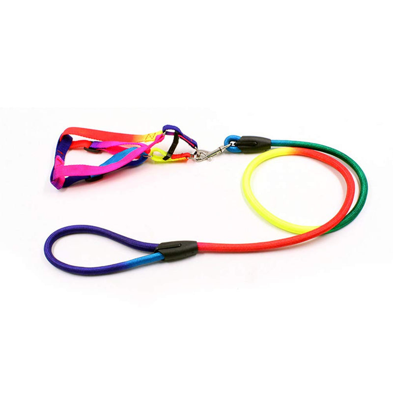 [Australia] - POPETPOP Pet Collar Leash Set Combo Safety Set Rainbow Color for Daily Outdoor Walking Running Training Puppy Small Dogs Cats Size S 