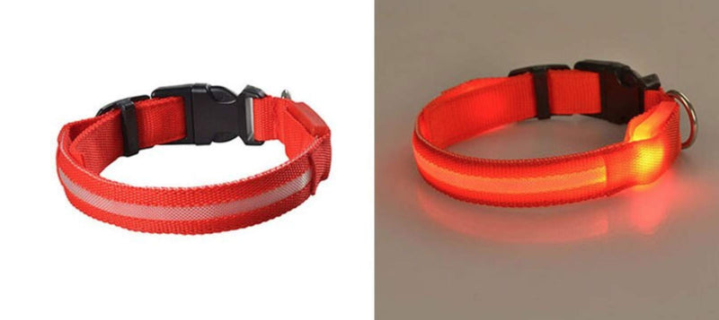 New G Line Flashing Glow In The Dark Dog Leash Waterproof Luminous Fluorescent Collars for Safety - PawsPlanet Australia