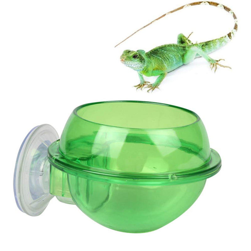 Balacoo 2PCS Suction Cup Reptile Feeder Anti-Escape Reptile Food Bowl For Tortoise Gecko Snakes Chameleon Iguana - PawsPlanet Australia