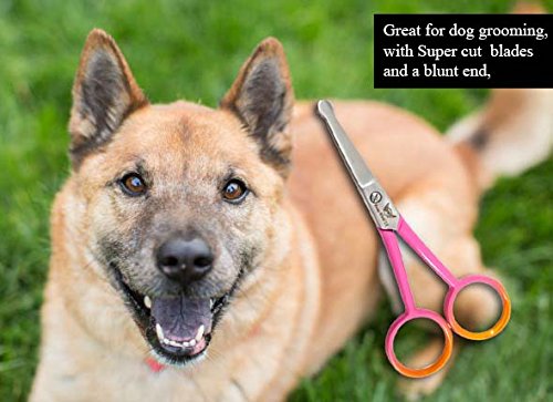 FOCUSWORLD Focus World Professional Pet Dog Grooming Scissors Straight Shears Tool Durable 4" - PawsPlanet Australia