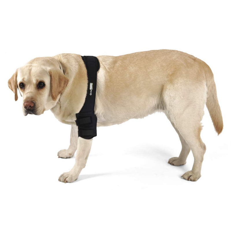 Ortocanis Elbow Protector for Dogs with osteoarthritis, Ligament Injuries, Arthritis and ED - Size M (Right Leg) M - right - PawsPlanet Australia