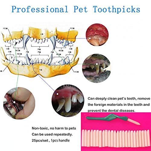 Dog Toothbrush,Double Ended Toothbrush,Pet Toothbrush Addition Bad Breath Tartar Teeth Care for Small Medium Large Dogs Cleaning Mouth(28 PCS) - PawsPlanet Australia