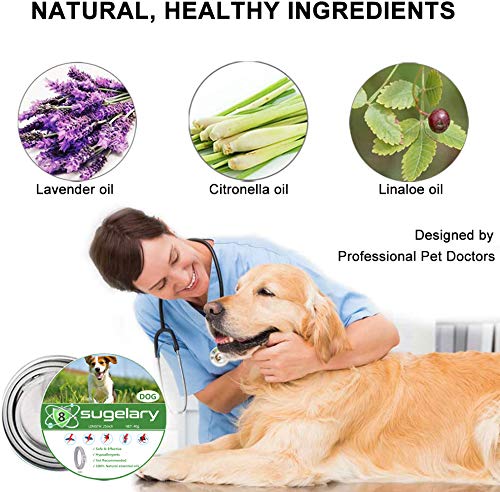 Sugelary Flea and Tick Collar for Dogs - Enhanced with Natural Essential Oils - 8 Months Protection/Waterproof & Nature & Safe/Efficiently repell locust lice of Pets (1) 1 - PawsPlanet Australia