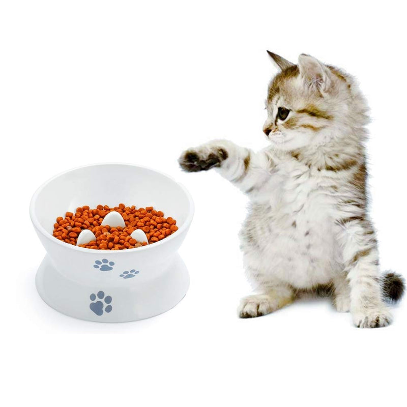 RoyalCare Raised Cat Food Bowl 2 PCS,Slow Feeder,Melamine Stress Free Pet Feeder and Waterer,Backflow Prevention, Gift for Cat - PawsPlanet Australia