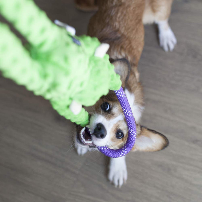 [Australia] - ZippyPaws - Monkey RopeTugz, Squeaky and Plush Rope Tug Dog Toy Green 