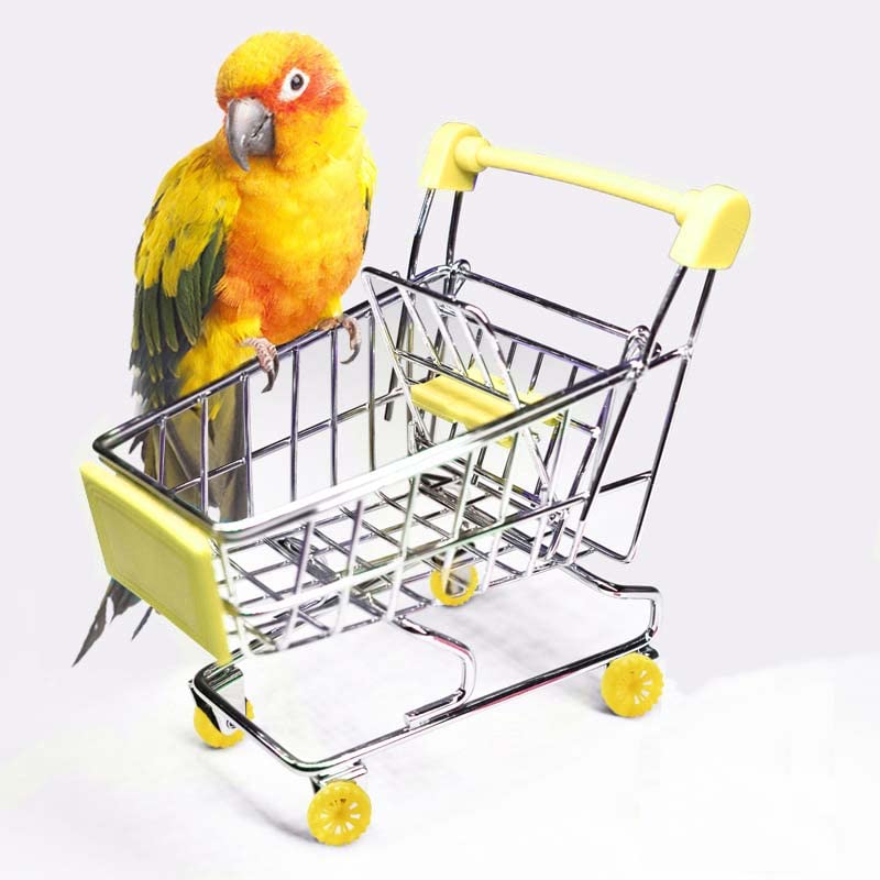 Cotsdan 4Pcs Bird Training Toys Set Parrot Intelligence Training Toys Include Upgrade Shopping Cart, Skateboard with Perch, Basketball Stand and Bell Balls, Stacking Ring Mini Bird Exercise Toys - PawsPlanet Australia