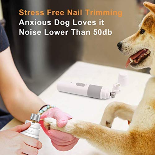 Denformy Dog Nail Grinder,Electric Rechargeable Pet Nail Trimmer,Upgraded Extra Powerful, 2-Speed Version for Small and Medium Size of Pets (Medium, White) - PawsPlanet Australia