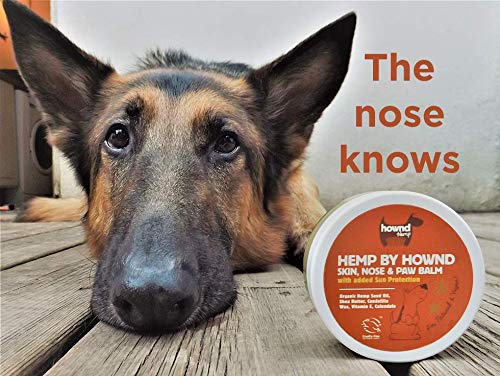 HOWND Hemp By Skin Nose And Paw Balm, 50 g 1 50 g (Pack of 1) - PawsPlanet Australia