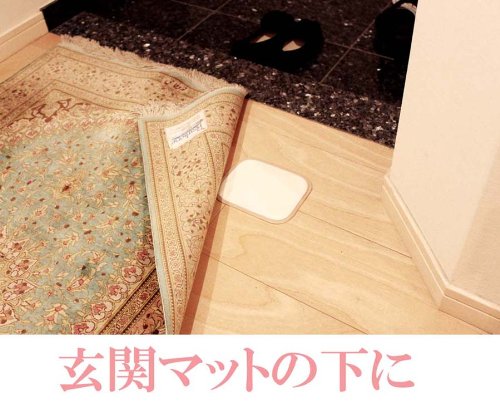 Just place! Poi collecting tick! (x 5 set of 2 pieces) tick adhesive sheet "tick hotel" futon 10 pieces set (japan import) - PawsPlanet Australia