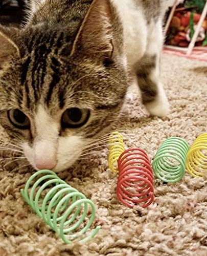 SPOT Ethical Products Ethical Wide Colorful Springs Cat Toy Multi - PawsPlanet Australia