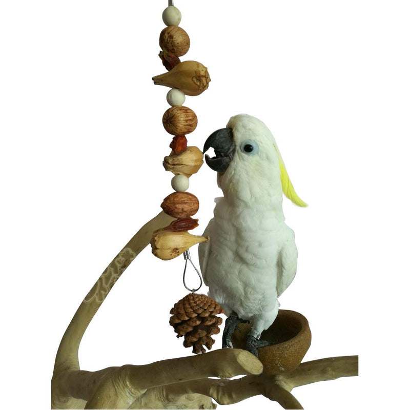 [Australia] - QBLEEV Bird Treats Toy, Parrot Cockatiel Chewing Pine Nuts Toys, Bird Cage Hanging Trim Toys for Conure Parakeet Lovebirds Budgie 