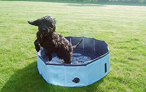 Rosewood Cool Down Dog Pool, 120 x 30 cm, Medium M - PawsPlanet Australia